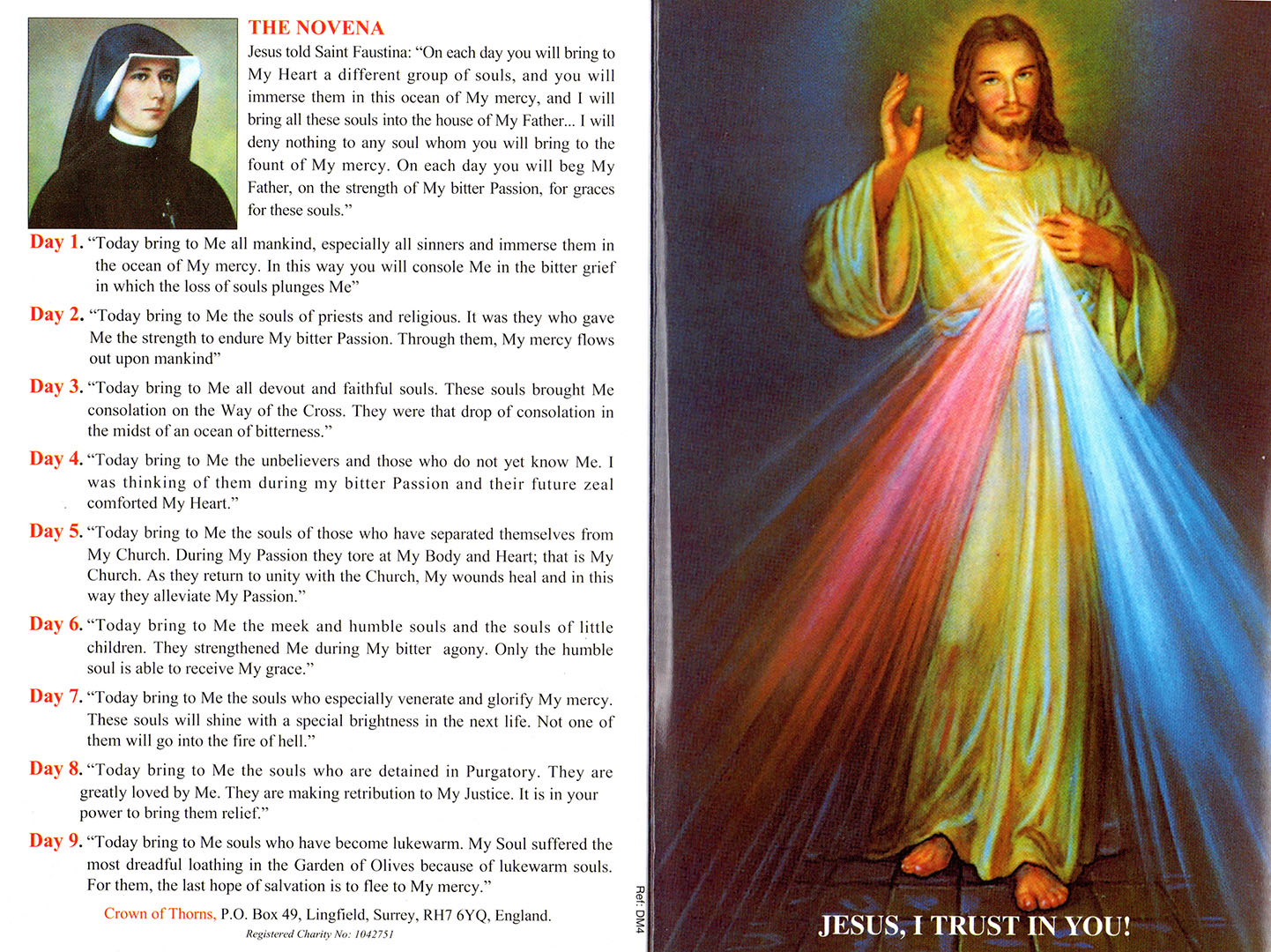 Divine Mercy 1